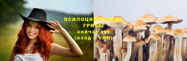молекула духа Ряжск
