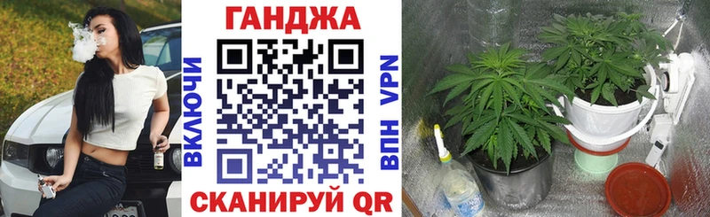 купить наркотик  Карабаново  Бошки Шишки LSD WEED 